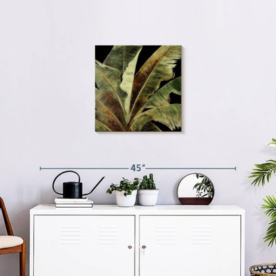 Harnek Uraba Palm sur fond noir