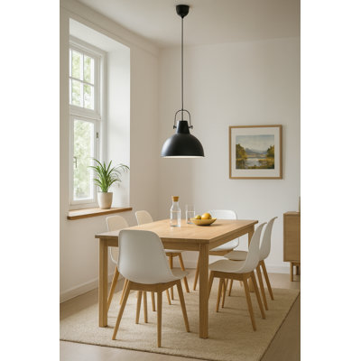 Aslef 1 - Light Single Pendant