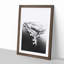 Old Harry Rocks Cliffs in Dorset - Picture Frame Graphic Art Print-55723799-55723795