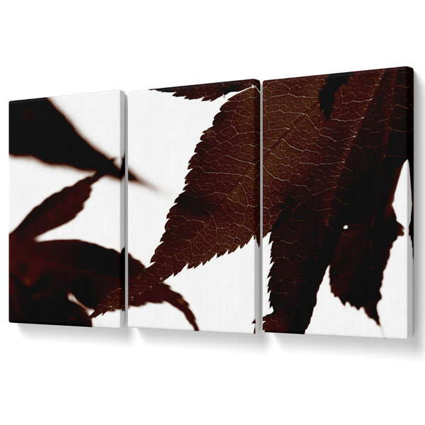Brayden Studio Brown Autumn Leaf - 3 Piece Wrapped Canvas Print ...