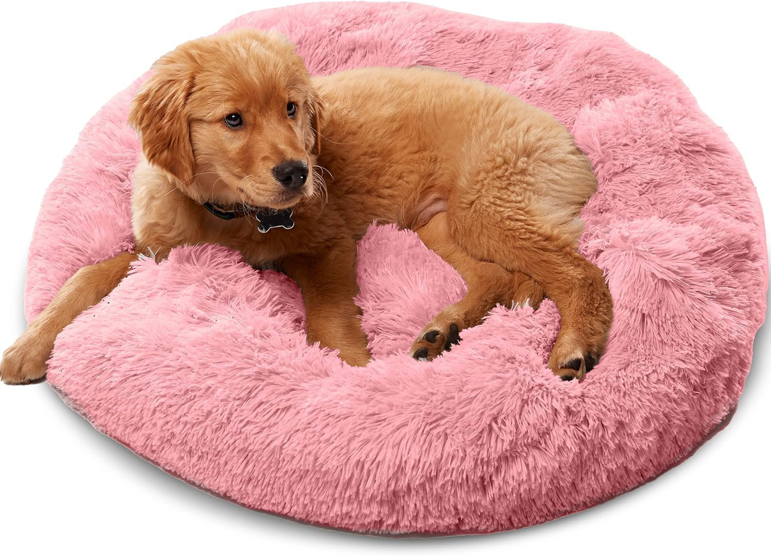 Tucker Murphy Pet™ Premium Dog Beds For Large Dogs And Medium Dogs