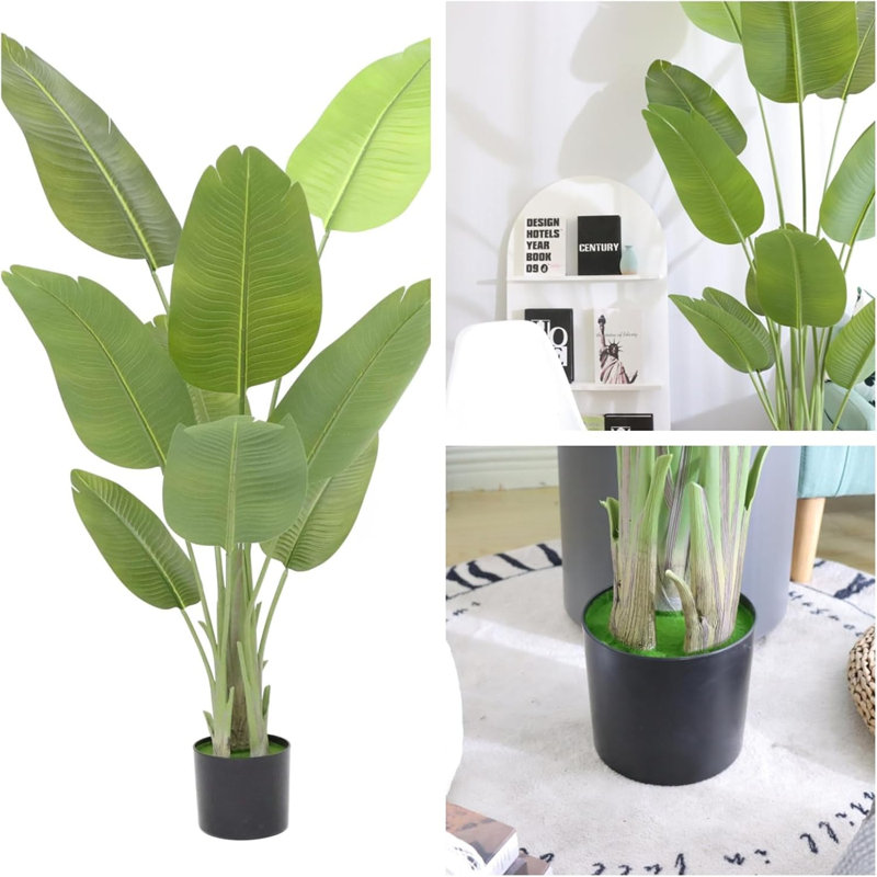 62.99cm Plant