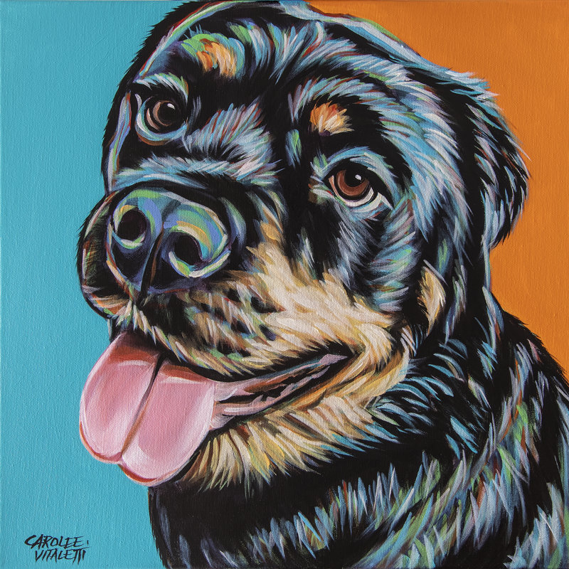 Rottweiler I by Carolee Vitaletti - Wrapped Canvas Painting, 30cm H x 30cm W
