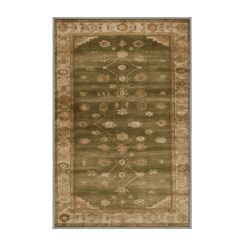 Machine Washable Overdyed Brown Area Rug, Rectangle 2' x 3'