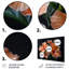 Hibiscus rose et noir-107190020-107190019