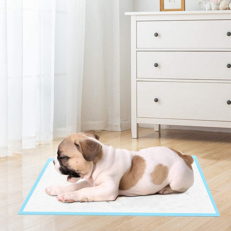 Lyndhur Polyester Pet Bed