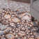 Tapis brun / orange Genessee