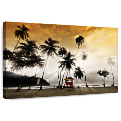 Gillard Maracas Beach Palms