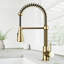 Brant 19 H 1-handle Pull-Down 2-Function Sprayer Kitchen Faucet-100790487