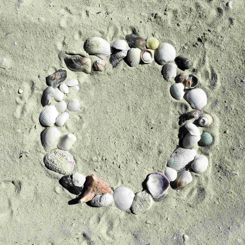 Coquille de coquillage - photographie sur toile tendue, H 20 po x l 20 po