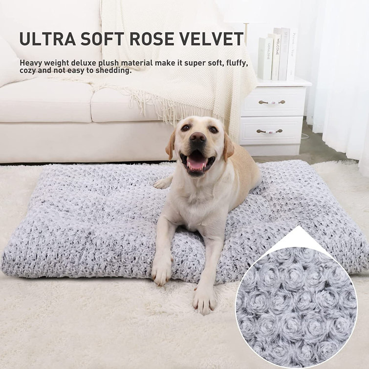https://assets.wfcdn.com/im/76377334/resize-h755-w755%5Ecompr-r85/2000/200060654/Washable+Dog+Bed+Deluxe+Plush+Dog+Crate+Beds+Fulffy+Comfy+Kennel+Pad+Anti-Slip+Pet+Sleeping+Mat+For+Large%2C+Jumbo%2C+Medium%2C+Small+Dogs+Breeds%2C+35%22+X+23%22%2C+Gray.jpg