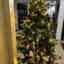 Customer photo 10 of 15