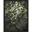 Reproduction d'art floral sur bois d'amandier rétro, impression botanique pour salon, encadrée sur papier-93487933-93487936