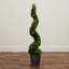 45 plantes