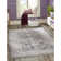 Heyde Chenille Oriental Indoor Rug
