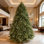Arbre de Noël pré éclairé