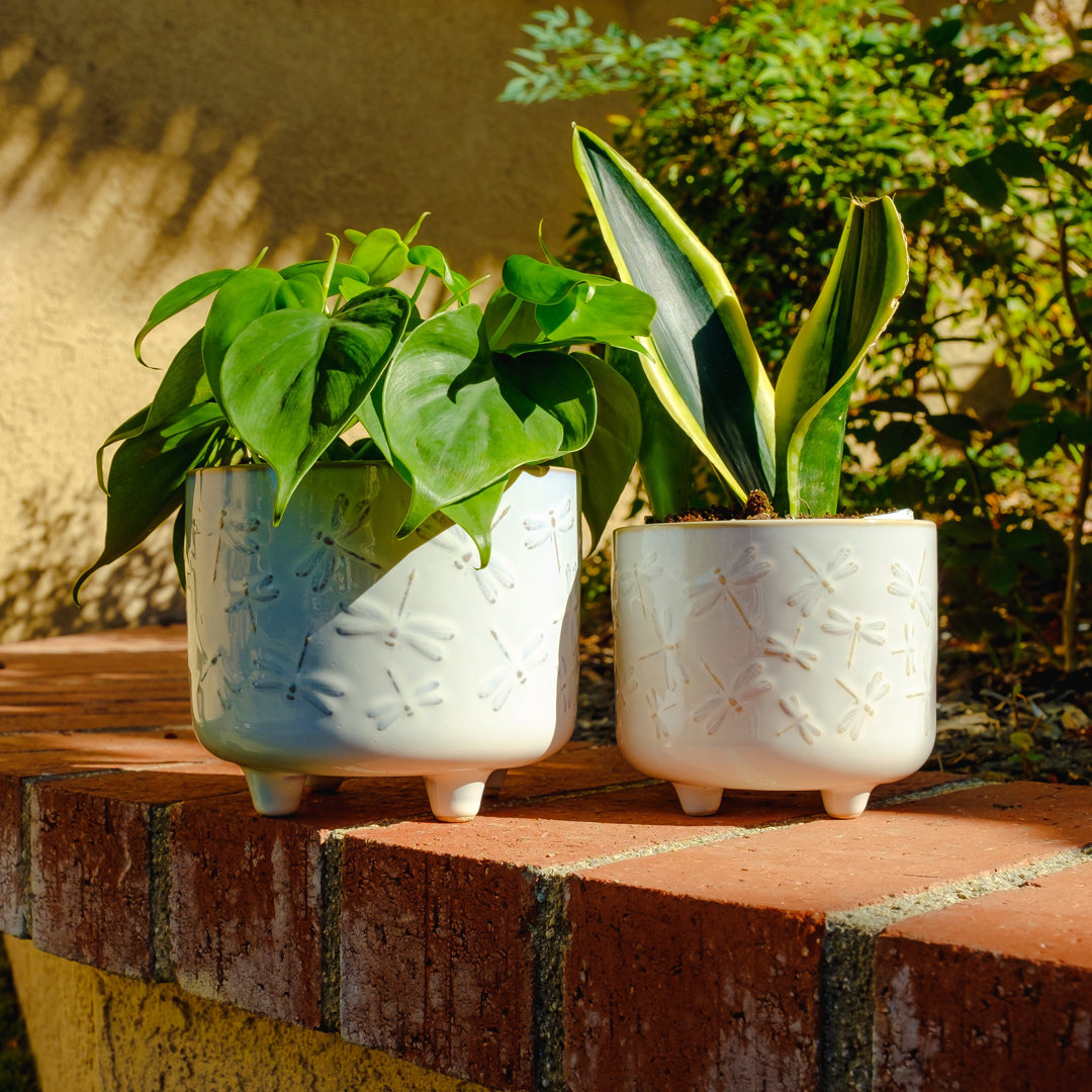 Petoskey 2- Piece Ceramic Pot Planter Wade Logan® 