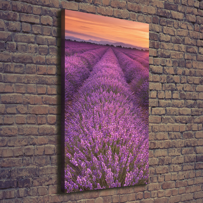 Lavender Field - Wrapped Canvas Print