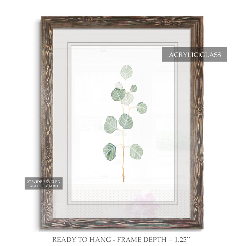 Douce branche d'eucalyptus II - Peinture encadrée sur papier, Cadre espresso, H 44 po x l 32 po x P 1,25 po