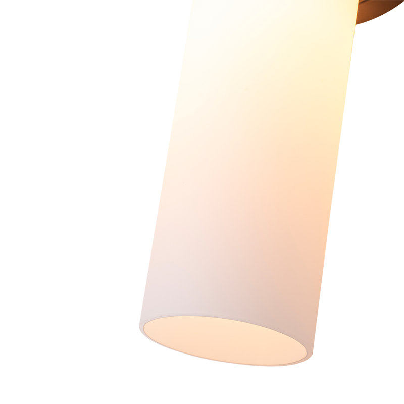 2-Light Dimmable Cylinder Glass Vanity Light, Matte Black