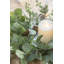 D14.2 "Ensemble de 2 bougies en eucalyptus