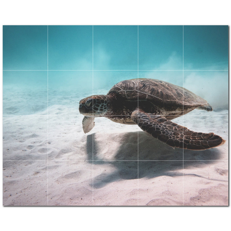 Murale en céramique satinée 8 po x 8 po Turtle Photo