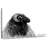 Brampt Bighorn Ram-107677438
