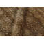 Rug & Kilim’S Modern Classics Rug In Beige And Gold Floral Lattice Design