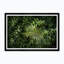 Athens Palm Print by Tim Klein
