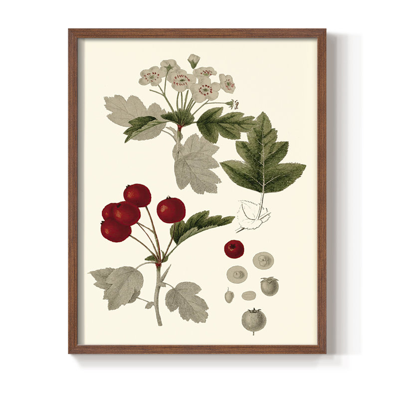 Feuilles et baies III, reproduction encadrée - bois massif, Noyer, H 30 po x l 24 po