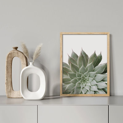 «Desert Succulent Close Up Echeveria Green Flower» sur papier