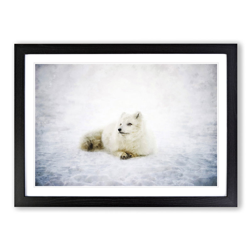 Resting Arctic Fox - Picture Frame Painting Print, 33cm H x 45cm W x 2cm D, Black Framed