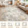 Machine Washable Area Rugs Modern Abstract Rugs Ultra Soft Indoor Floor Mat for Dining Room Low Pile Carpet with Non Slip Backing