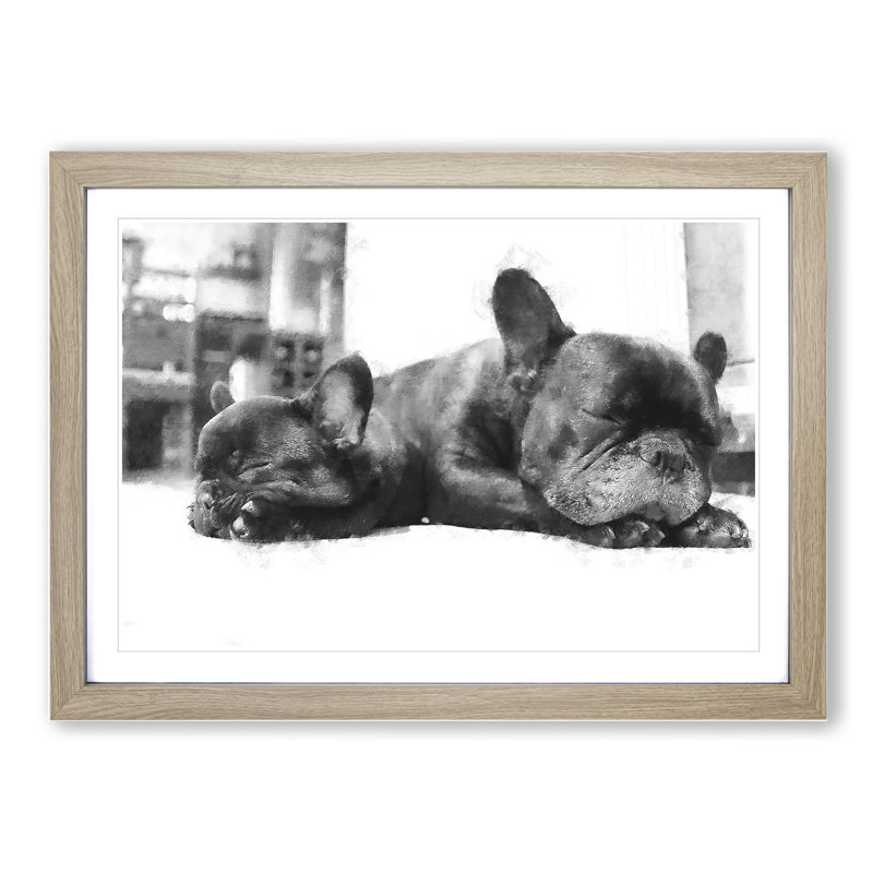 Two French Bulldogs - Framed Print, 27cm H x 36cm W x 2cm D, Oak Framed