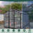 6X10 Ft Outdoor Polycarbonate Greenhouse Kit With Aluminum Frame