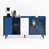 Blue is out of stock selected