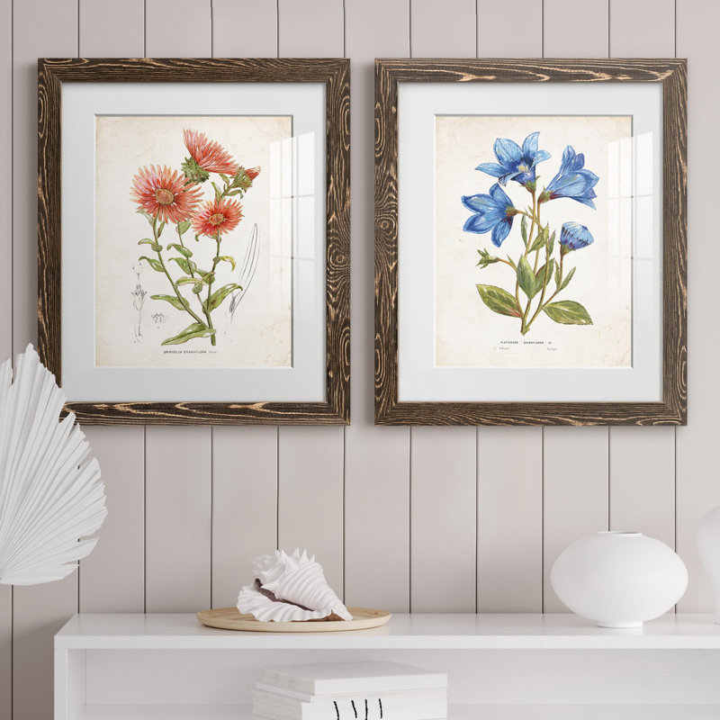 «Botanical I», ensemble de 2 reproductions d'art, Blanc, H 24 po x l 36 po x P 1,5 po, Papier, cadre noyer