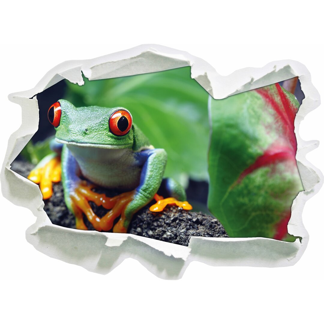 Wandtattoo Rotaugenlaubfrosch auf Ast