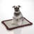 Mesh Training Tray-87884894