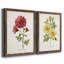 Botanical III - ensemble de 2 reproductions d'art-168997587-168997419-168997597