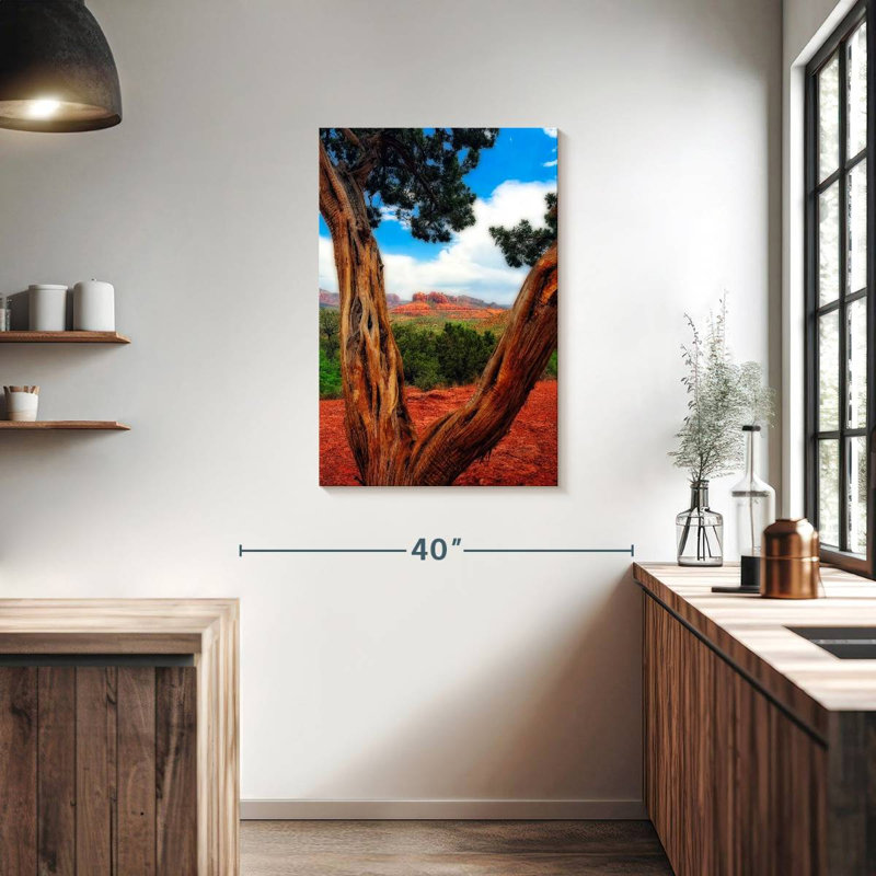 Aime Desert Reds, 36" H x 24" W