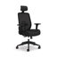 HON Altern Mesh Mid Back Task Chair, Black Frame, Black