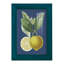 Xeden French Lemon On Navy II, reproduction d'art encadrée-1862702602-1862702604