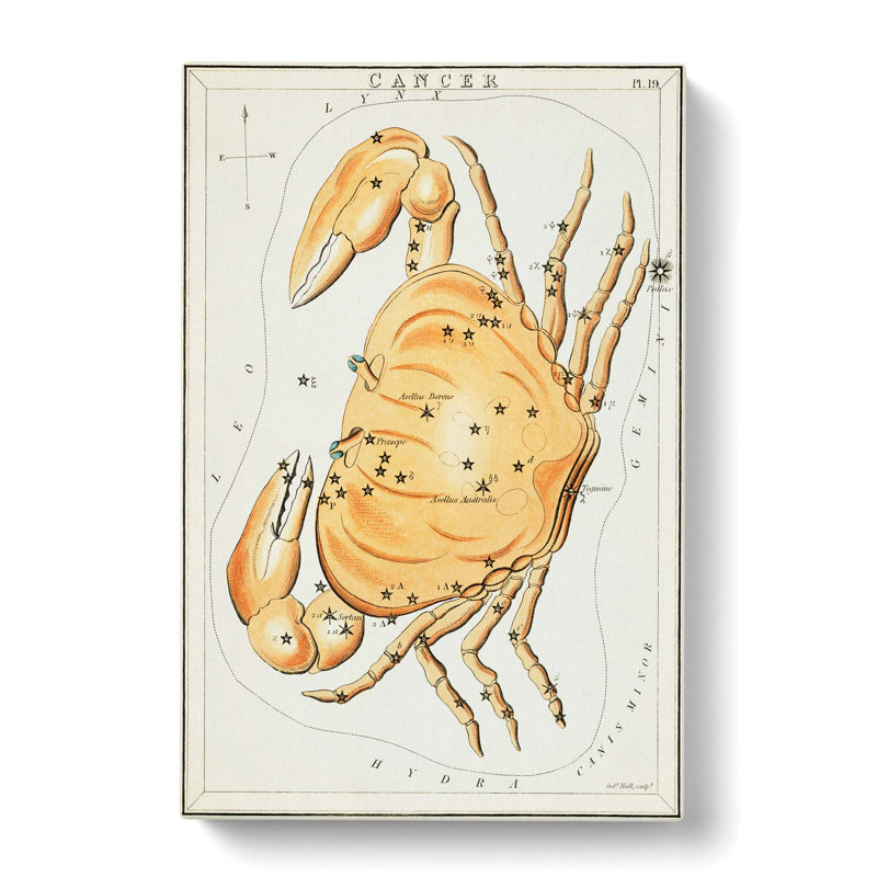 Astronomical Zodiac Chart Of The Cancer - Wrapped Canvas Print, 76cm H x 50cm W x 3cm D