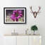 Purple Daisy - Picture Frame Painting Print-56758397-56758394