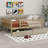Sherilynn Daybed-816256250-816256254