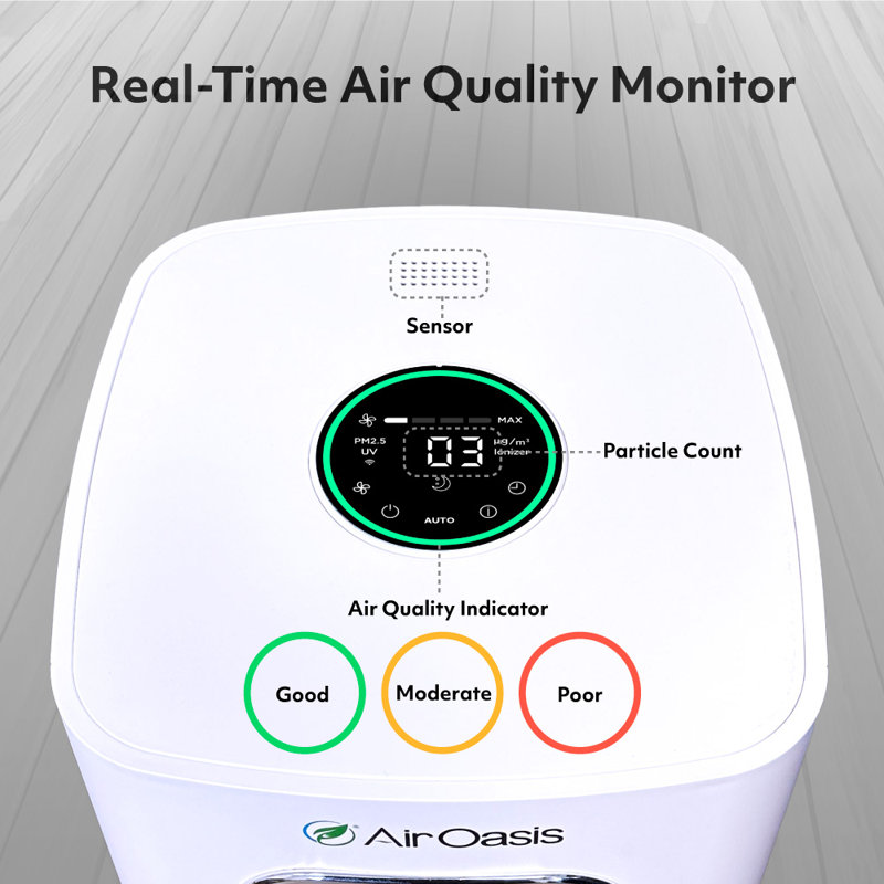 iAdapt 2.0 Silver HEPA Filter Air Purifier with Ionic Technology
