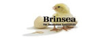 Brinsea logo