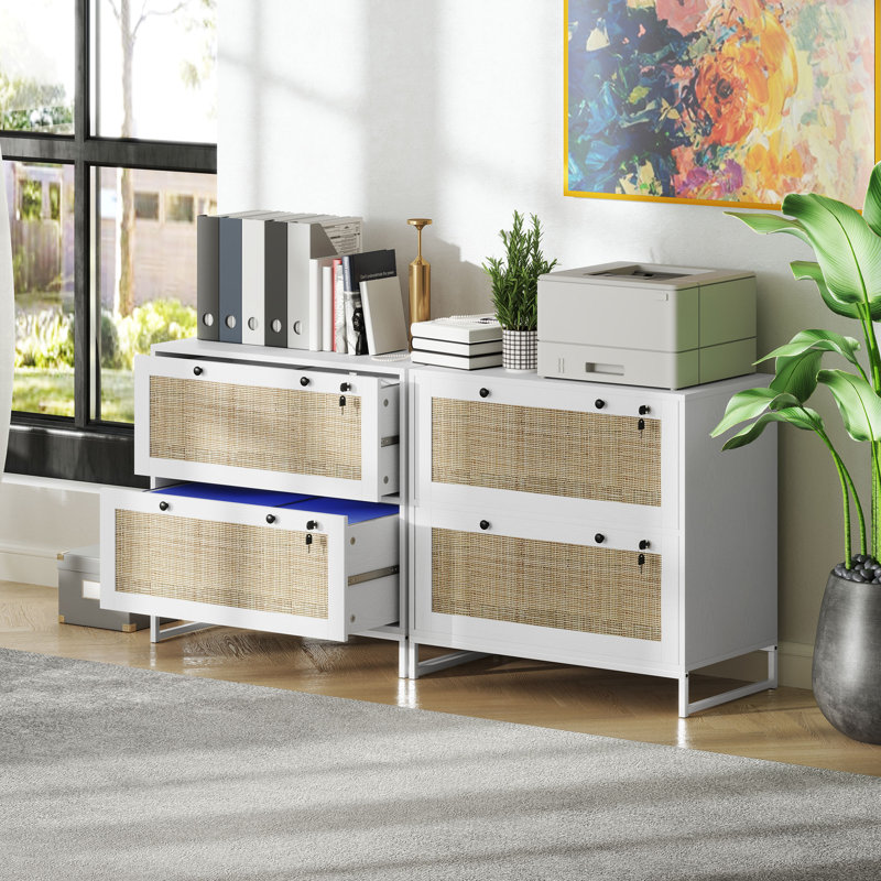 2 Drawer File Cabinet with Lock, Vertical Filing Cabinet with Keys, Rattan Drawers and Adjustable Hanging Bar for Letter, A4 and Legal Size Paper, White