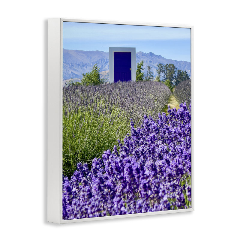 Surreal Doorway Landscape  Giclee Art by Kali Wilson, Coastal White Framed Giclee, 14" H x 11" W